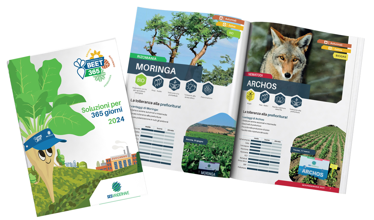 Catalogo sesvanderhave