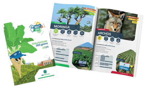 Catalogo sesvanderhave